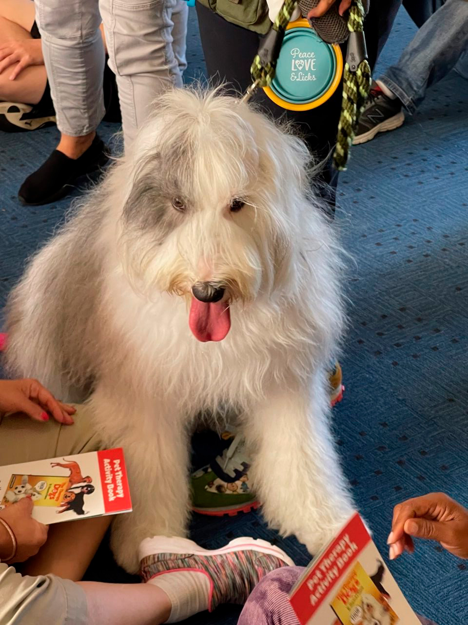 Marian Center visit by Thor | Ale Ramos Therapy Animals