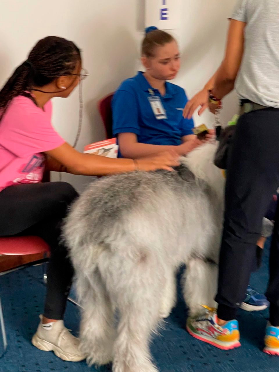Marian Center visit by Thor | Ale Ramos Therapy Animals
