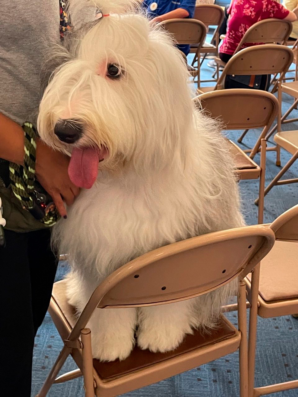 Marian Center visit by Thor | Ale Ramos Therapy Animals