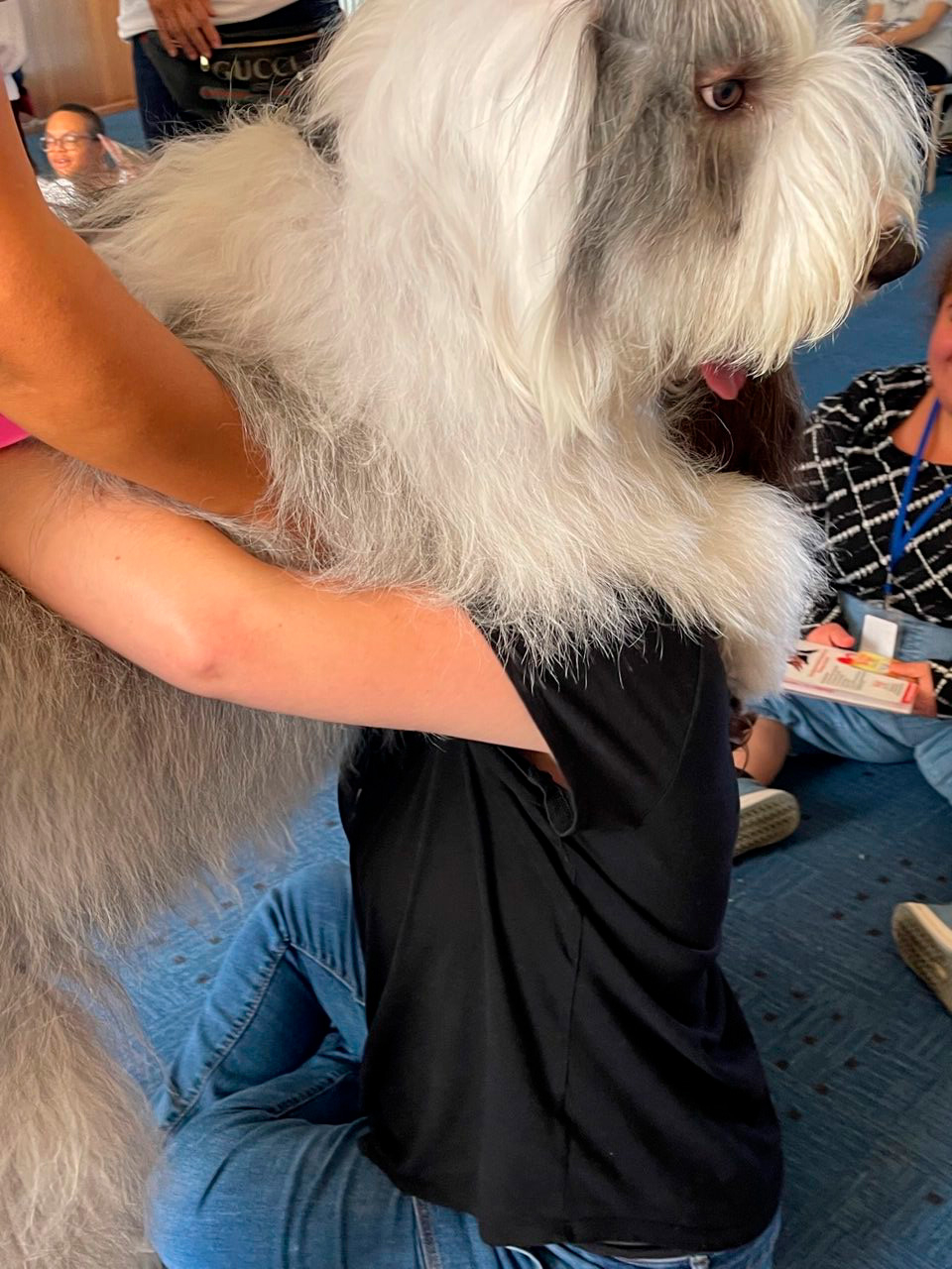 Marian Center visit by Thor | Ale Ramos Therapy Animals