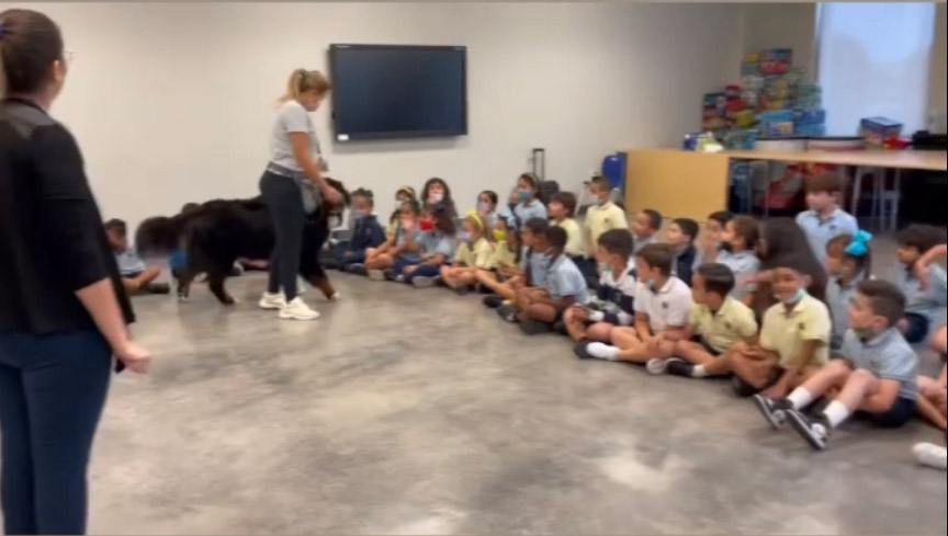  March 11, 2022 | Ale Ramos Therapy Animals