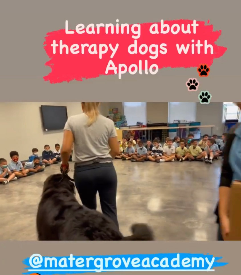  March 11, 2022 | Ale Ramos Therapy Animals