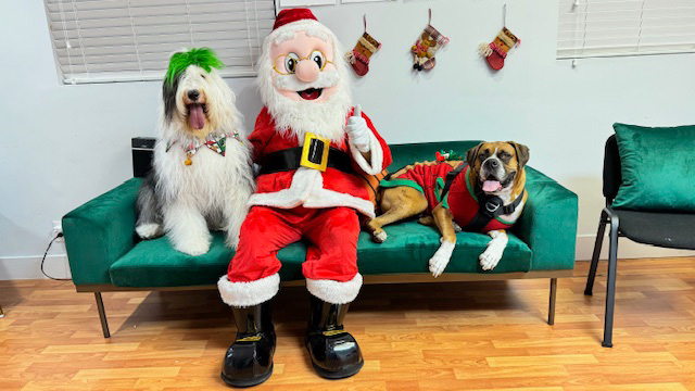  Dec 14, 2023 | Ale Ramos Therapy Animals