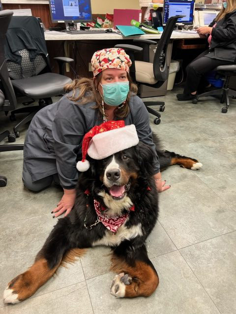 Mercy Hospital Christmas visit | Ale Ramos Therapy Animals