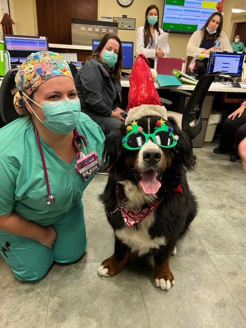 Mercy Hospital Christmas visit | Ale Ramos Therapy Animals