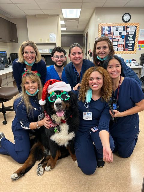 Mercy Hospital Christmas visit | Ale Ramos Therapy Animals
