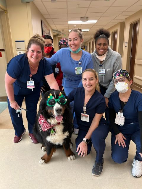 Mercy Hospital Christmas visit | Ale Ramos Therapy Animals