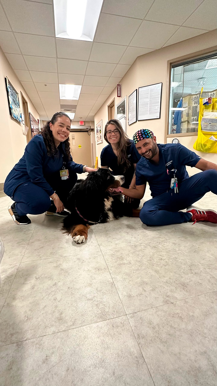  February 16, 2023 | Ale Ramos Therapy Animals