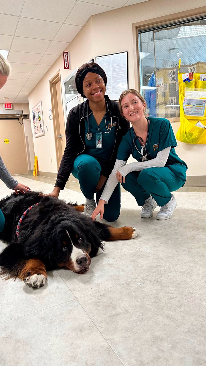  February 16, 2023 | Ale Ramos Therapy Animals