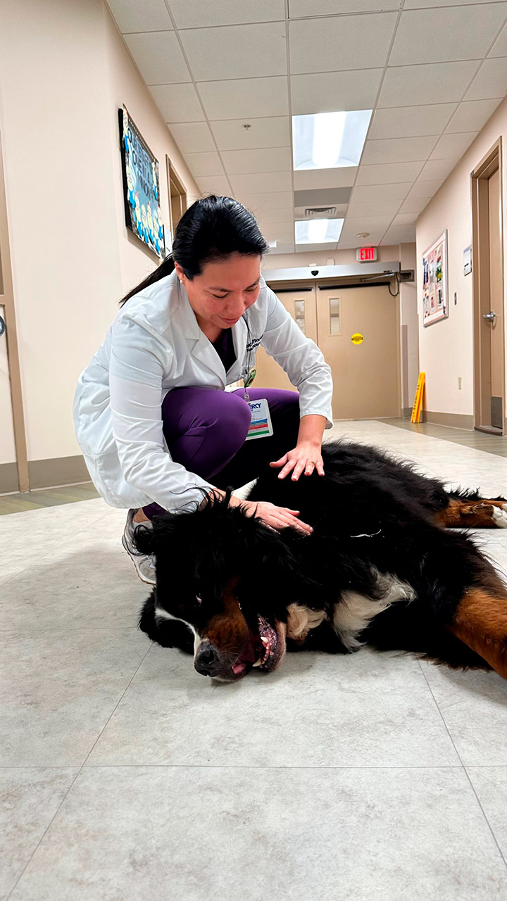  February 16, 2023 | Ale Ramos Therapy Animals