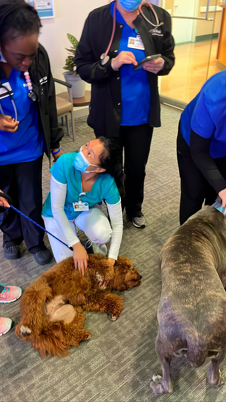  March 15, 2023 | Ale Ramos Therapy Animals