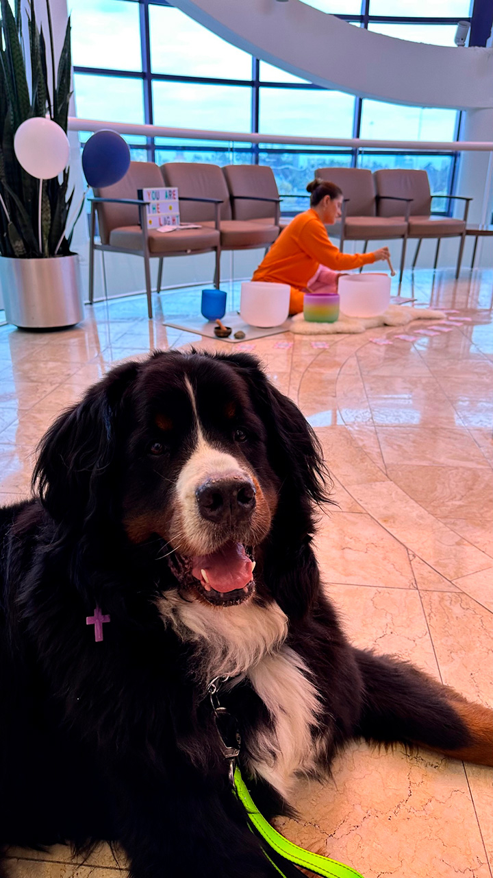  March 15, 2023 | Ale Ramos Therapy Animals