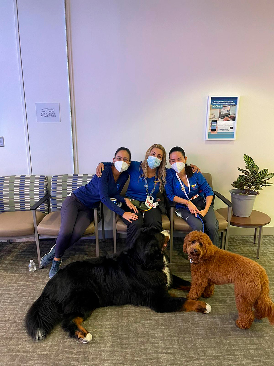  March 15, 2023 | Ale Ramos Therapy Animals