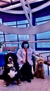 Mount Sinai Event - Meet Your Cancer Support Service Team | Ale Ramos Therapy Animals