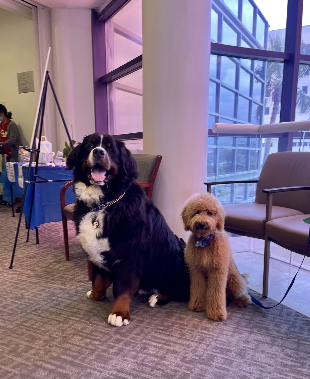 Mount Sinai Event - Meet Your Cancer Support Service Team | Ale Ramos Therapy Animals