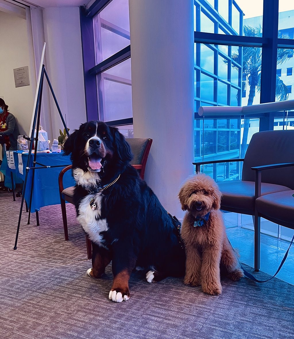 Mount Sinai Event - Meet Your Cancer Support Service Team | Ale Ramos Therapy Animals
