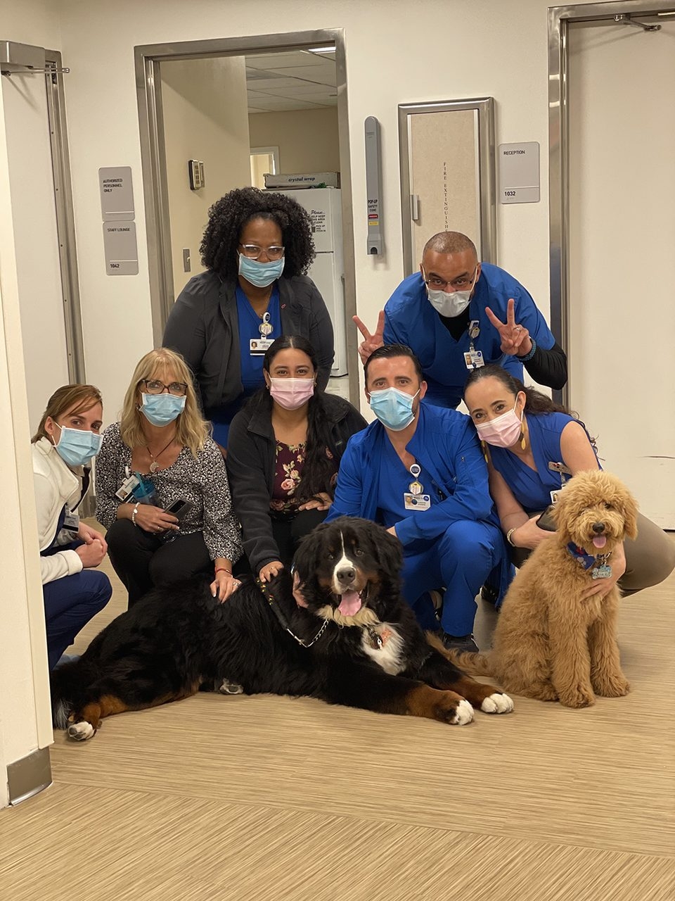 Mount Sinai Event - Meet Your Cancer Support Service Team | Ale Ramos Therapy Animals