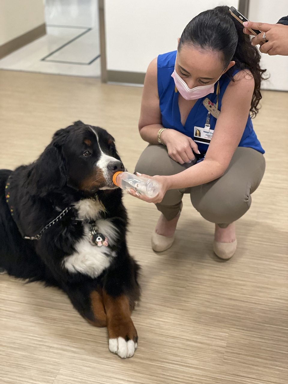 Mount Sinai Event - Meet Your Cancer Support Service Team | Ale Ramos Therapy Animals