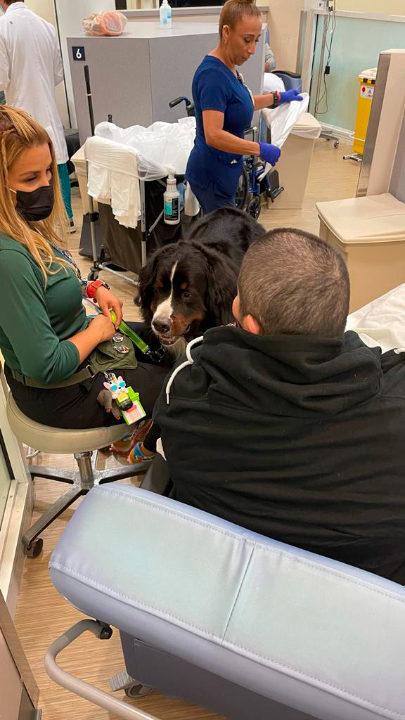  April 27, 2023 | Ale Ramos Therapy Animals
