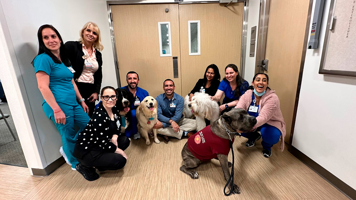  January 24, 2023 | Ale Ramos Therapy Animals