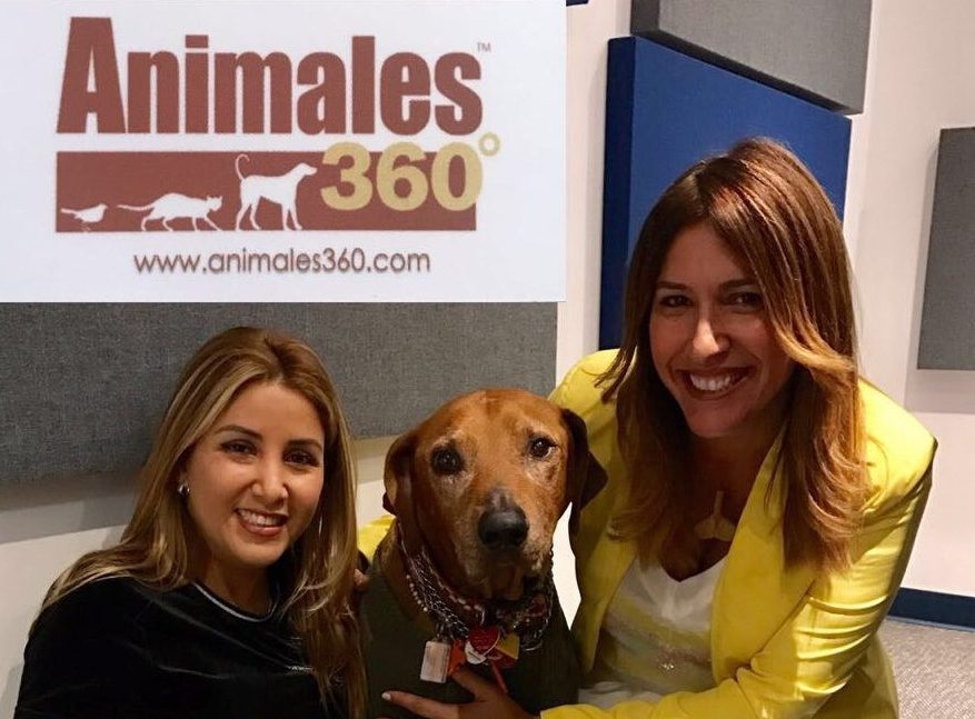 My Journalist Friend Xiomara Gonzalez – Govea | Ale Ramos Therapy Animals