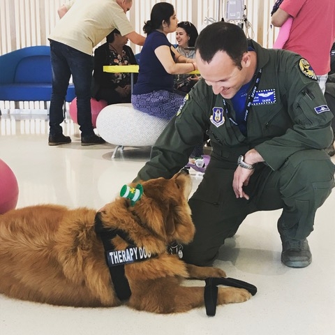 My Special Friend, The Pilot | Ale Ramos Therapy Animals