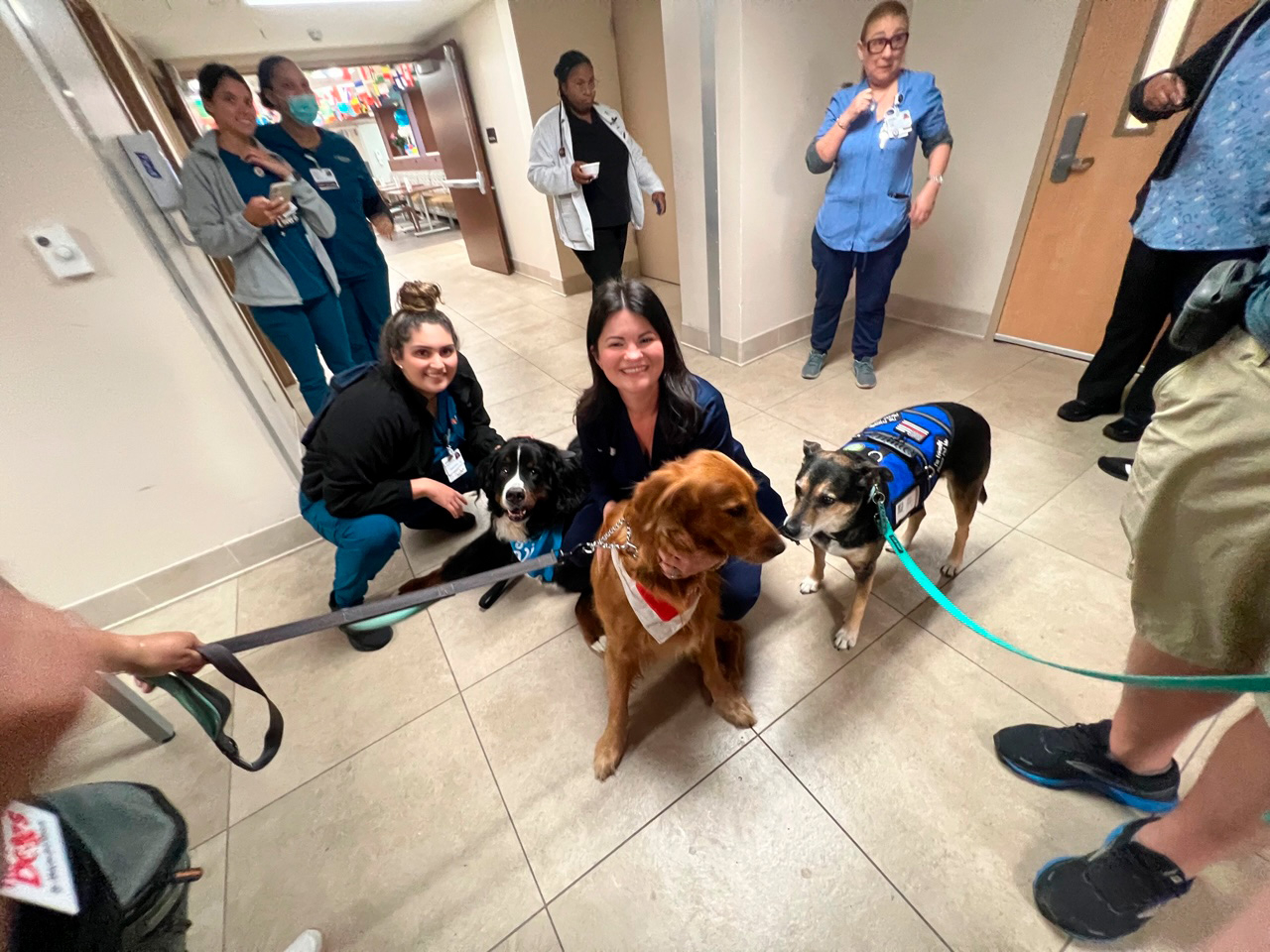  May 9, 2023 | Ale Ramos Therapy Animals