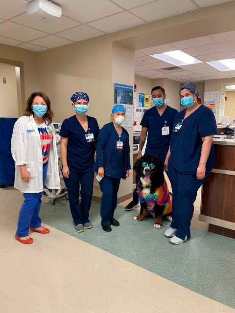 Nurse Week Celebration at Mercy Hospital | Ale Ramos Therapy Animals