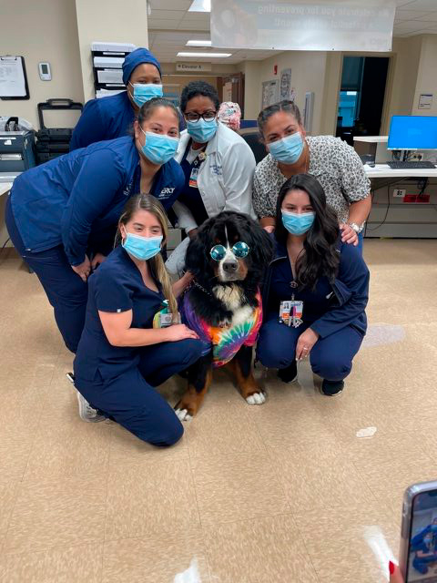 Nurse Week Celebration at Mercy Hospital | Ale Ramos Therapy Animals