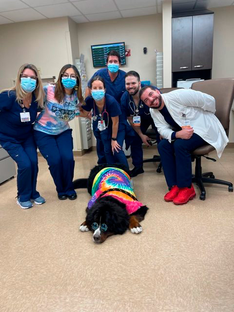 Nurse Week Celebration at Mercy Hospital | Ale Ramos Therapy Animals