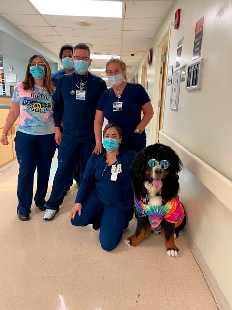 Nurse Week Celebration at Mercy Hospital | Ale Ramos Therapy Animals