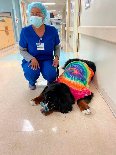 Nurse Week Celebration at Mercy Hospital | Ale Ramos Therapy Animals