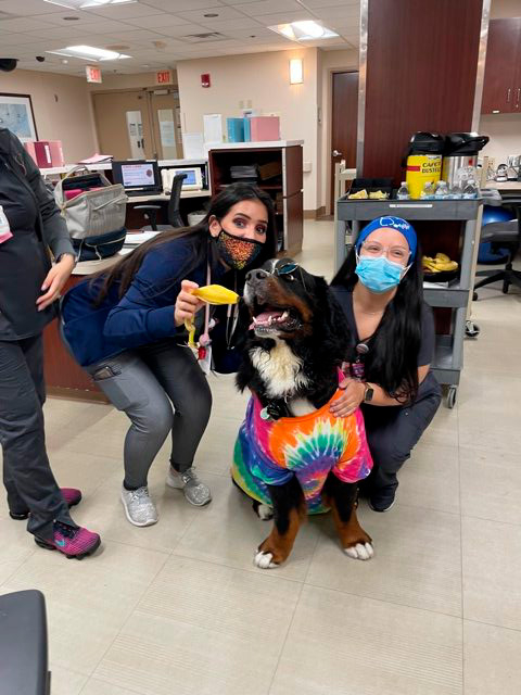 Nurse Week Celebration at Mercy Hospital | Ale Ramos Therapy Animals