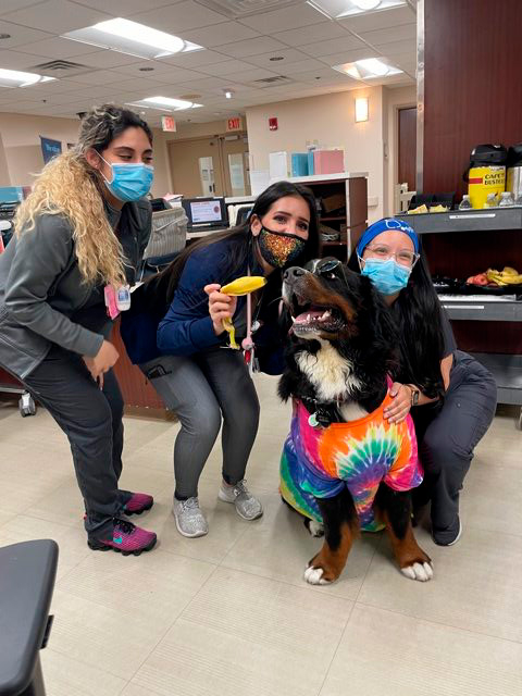 Nurse Week Celebration at Mercy Hospital | Ale Ramos Therapy Animals