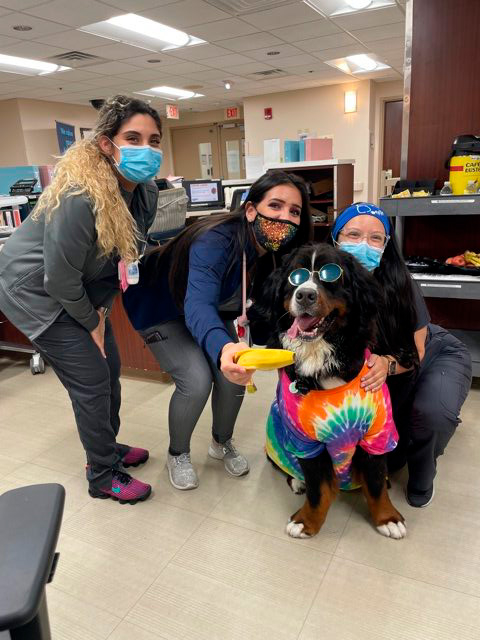 Nurse Week Celebration at Mercy Hospital | Ale Ramos Therapy Animals