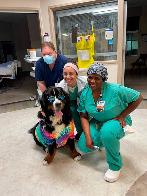 Nurse Week Celebration at Mercy Hospital | Ale Ramos Therapy Animals