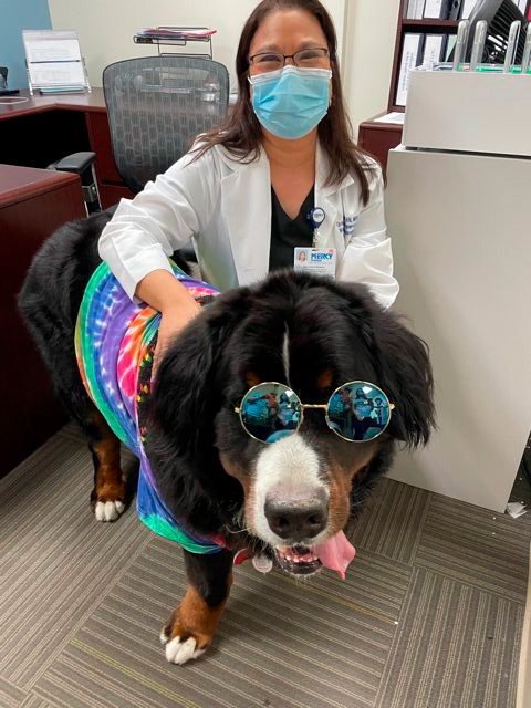 Nurse Week Celebration at Mercy Hospital | Ale Ramos Therapy Animals