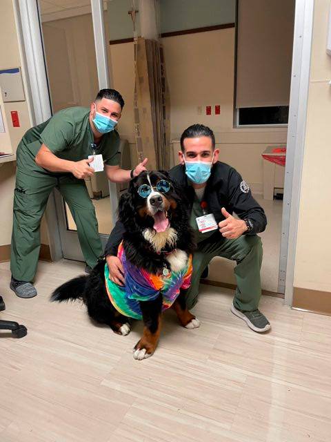Nurse Week Celebration at Mercy Hospital | Ale Ramos Therapy Animals
