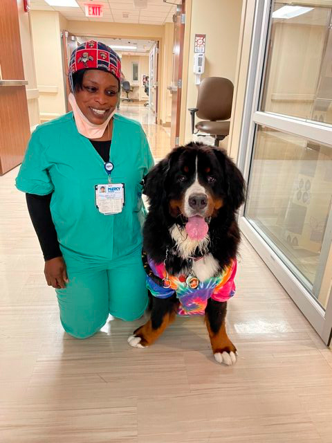 Nurse Week Celebration at Mercy Hospital | Ale Ramos Therapy Animals