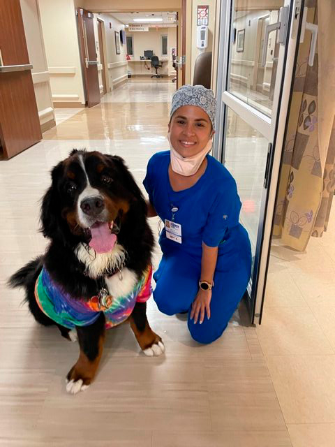 Nurse Week Celebration at Mercy Hospital | Ale Ramos Therapy Animals