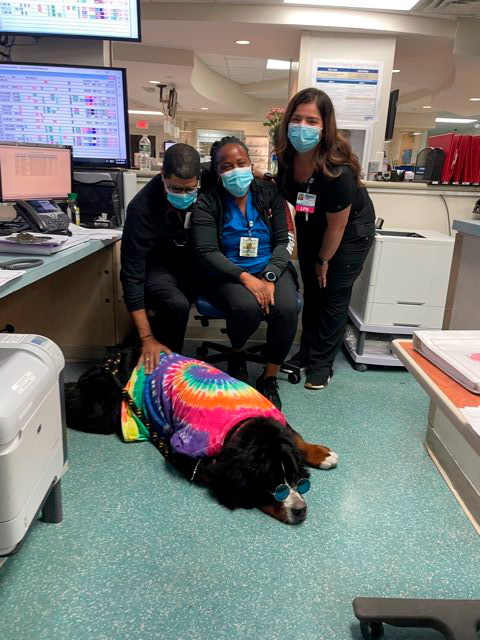 Nurse Week Celebration at Mercy Hospital | Ale Ramos Therapy Animals