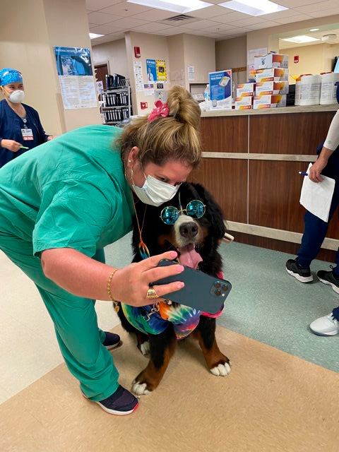 Nurse Week Celebration at Mercy Hospital | Ale Ramos Therapy Animals