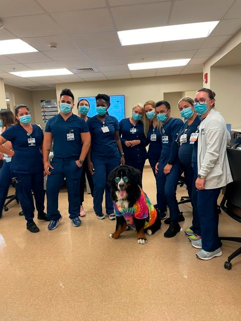 Nurse Week Celebration at Mercy Hospital | Ale Ramos Therapy Animals
