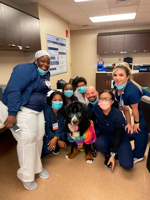 Nurse Week Celebration at Mercy Hospital | Ale Ramos Therapy Animals
