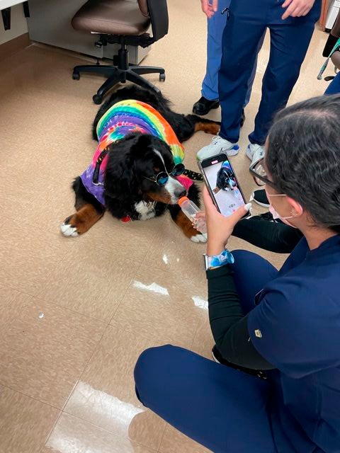 Nurse Week Celebration at Mercy Hospital | Ale Ramos Therapy Animals