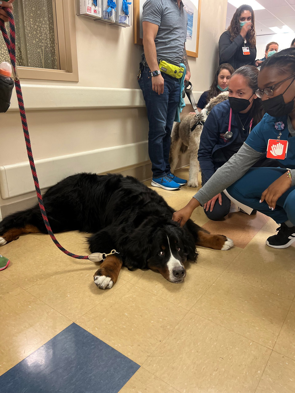  May 12, 2022 | Ale Ramos Therapy Animals