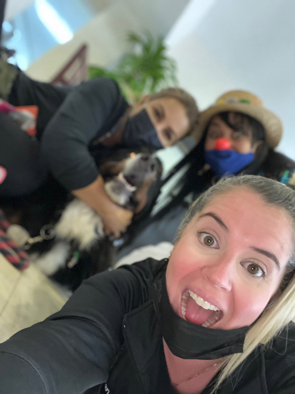  May 12, 2022 | Ale Ramos Therapy Animals