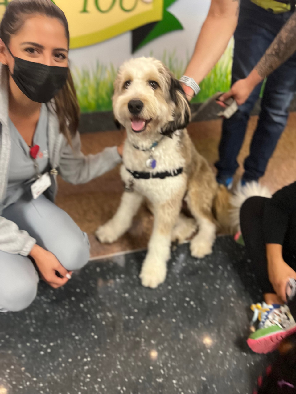  May 12, 2022 | Ale Ramos Therapy Animals