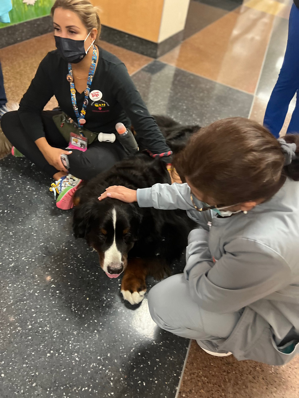  May 12, 2022 | Ale Ramos Therapy Animals