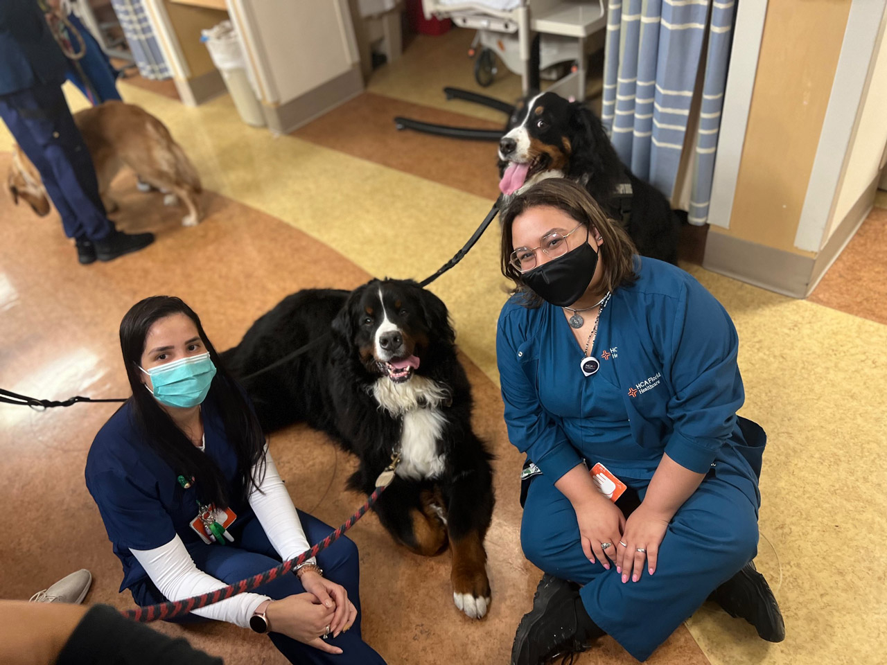  May 12, 2022 | Ale Ramos Therapy Animals